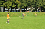 2015-08-26_Spiel_gegen_Buehnen-der-Stadt-Koeln_007