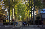 2017-09-23_129_Vitoria-Gasteiz_Stadtgang