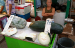 2018-11_1-Hongkong-touristisch_156