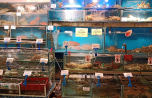 2018-11_1-Hongkong-touristisch_173