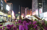 2018-11_3-Shenzhen_009