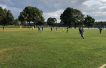2019-07-31_Poller-Wiesen_04