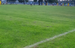 2020-06-17_PollerWiesen-Szenen_35