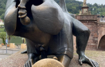 2021-08_FC-Jumbo-in-Heidelberg_050