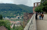 2021-08_FC-Jumbo-in-Heidelberg_078