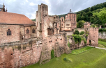 2021-08_FC-Jumbo-in-Heidelberg_089